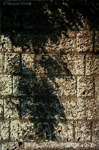 Afterimage, or suggestion, 2002