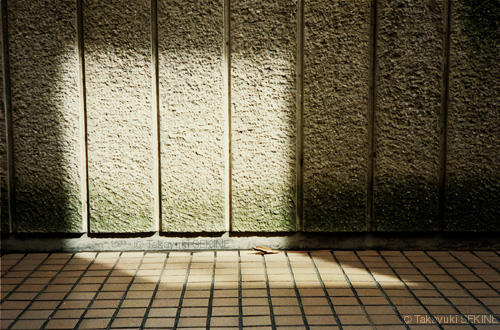 asleep, 1999