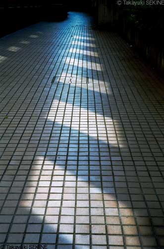 Guide, or Footprint, 2000