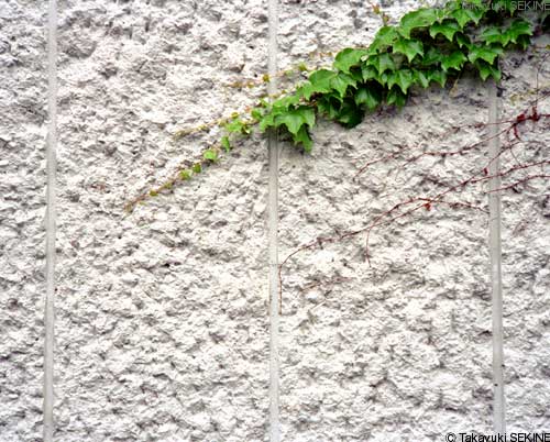 a moment, 1998