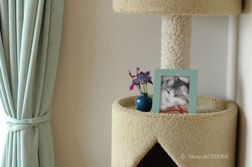 room, 2005
