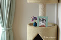 room, 2005