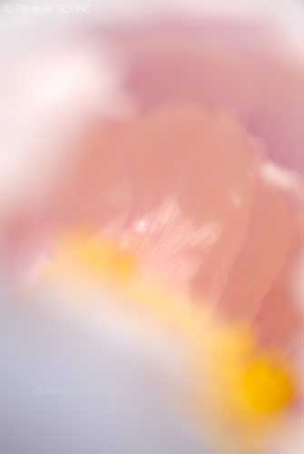 peony, 2006
